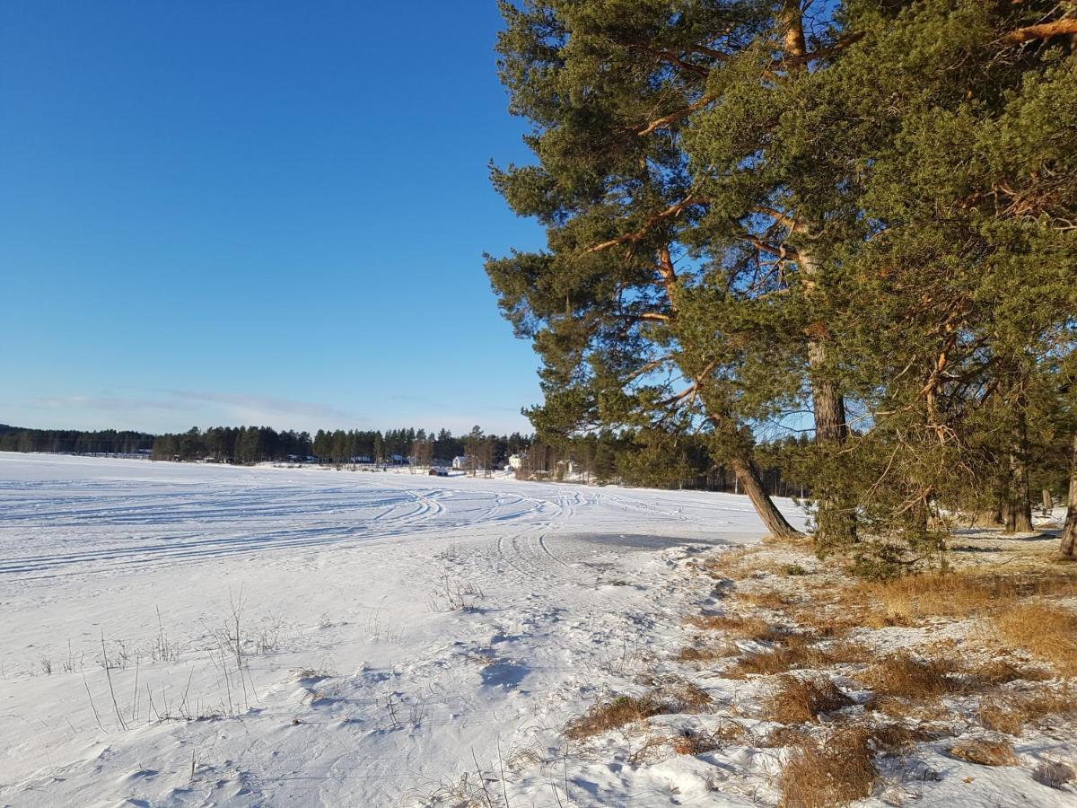 Furudals Vandrarhem Och Sjoecamping Exteriér fotografie